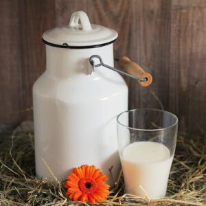 Allergene G: Milch